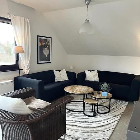 9 Persoons Rand Sauerland Edersee Villa *