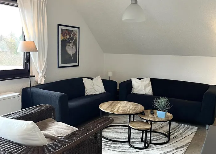 9 Persoons Rand Sauerland Edersee Villa *