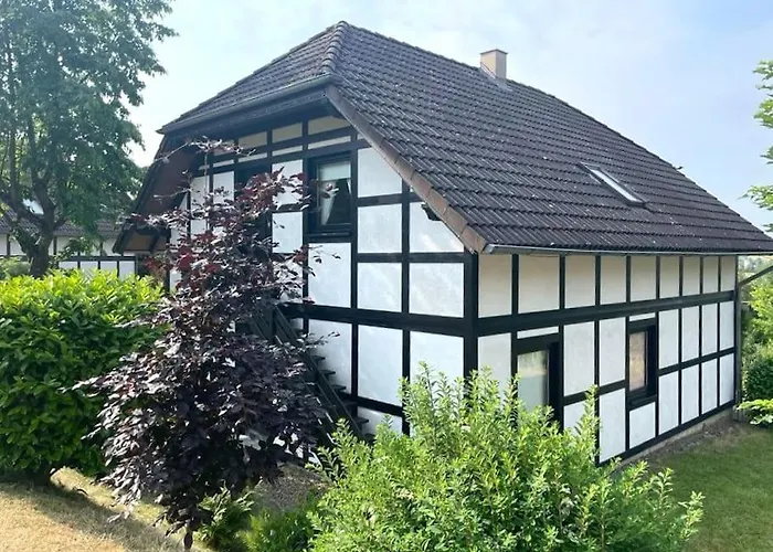 9 Persoons Rand Sauerland Edersee Villa *